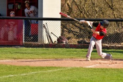 drew-bat-Large