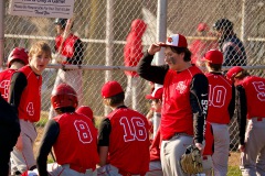team1-Large